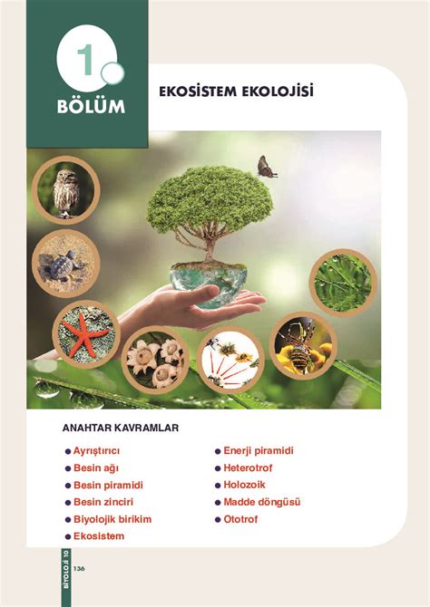 10 sınıf biyoloji ekosistem ekolojisi pdf